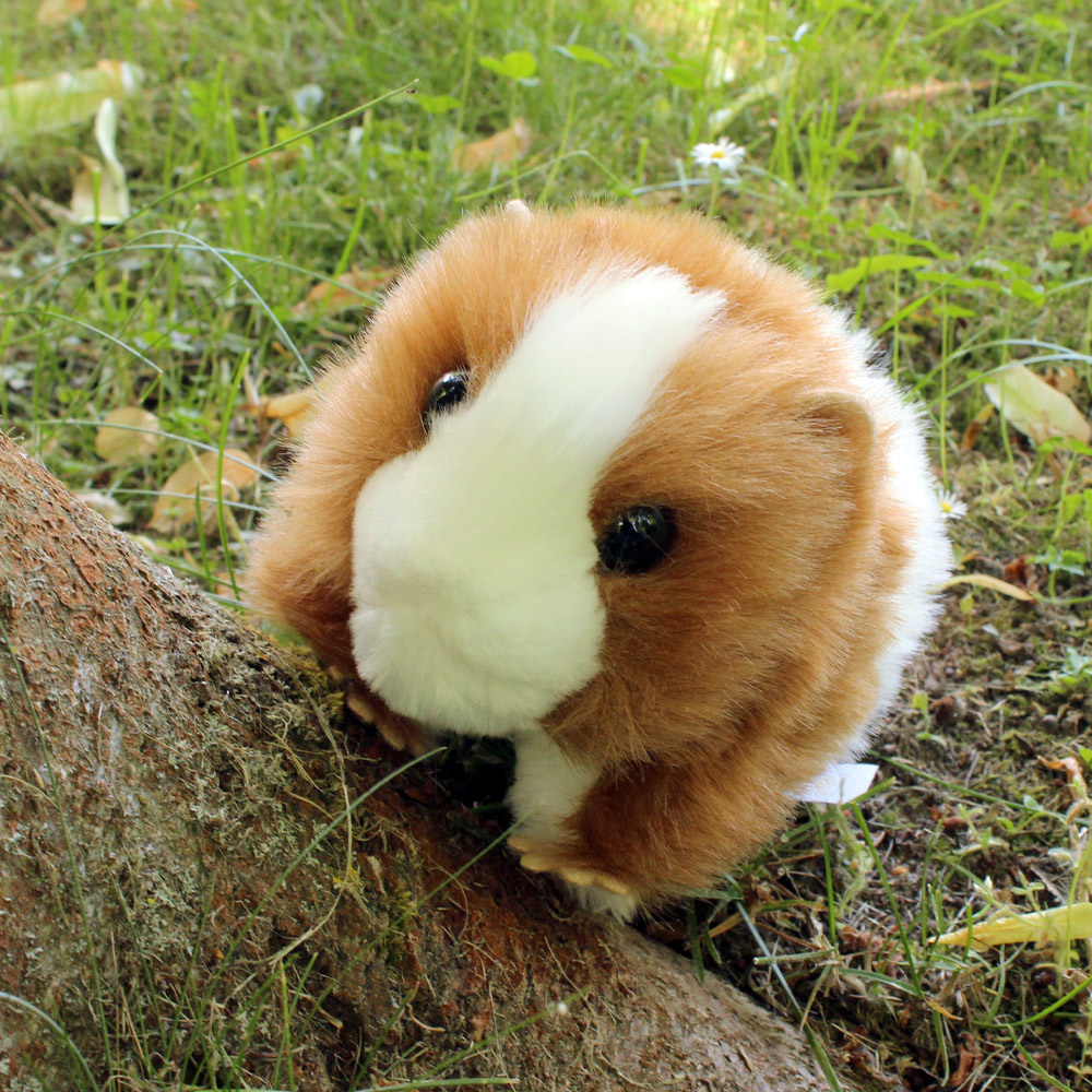 Plüschtier Meerschweinchen
