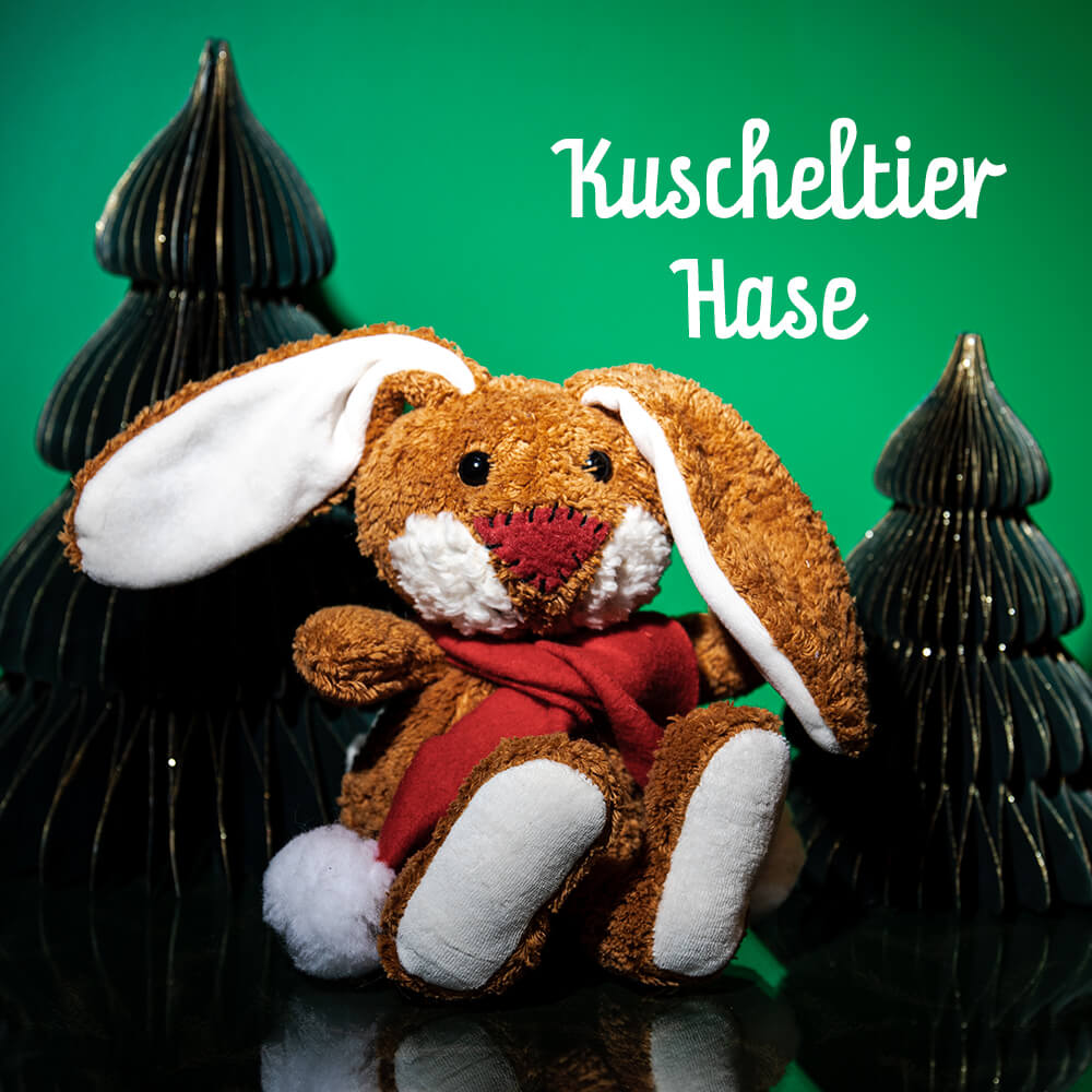 Plüschtier Hase