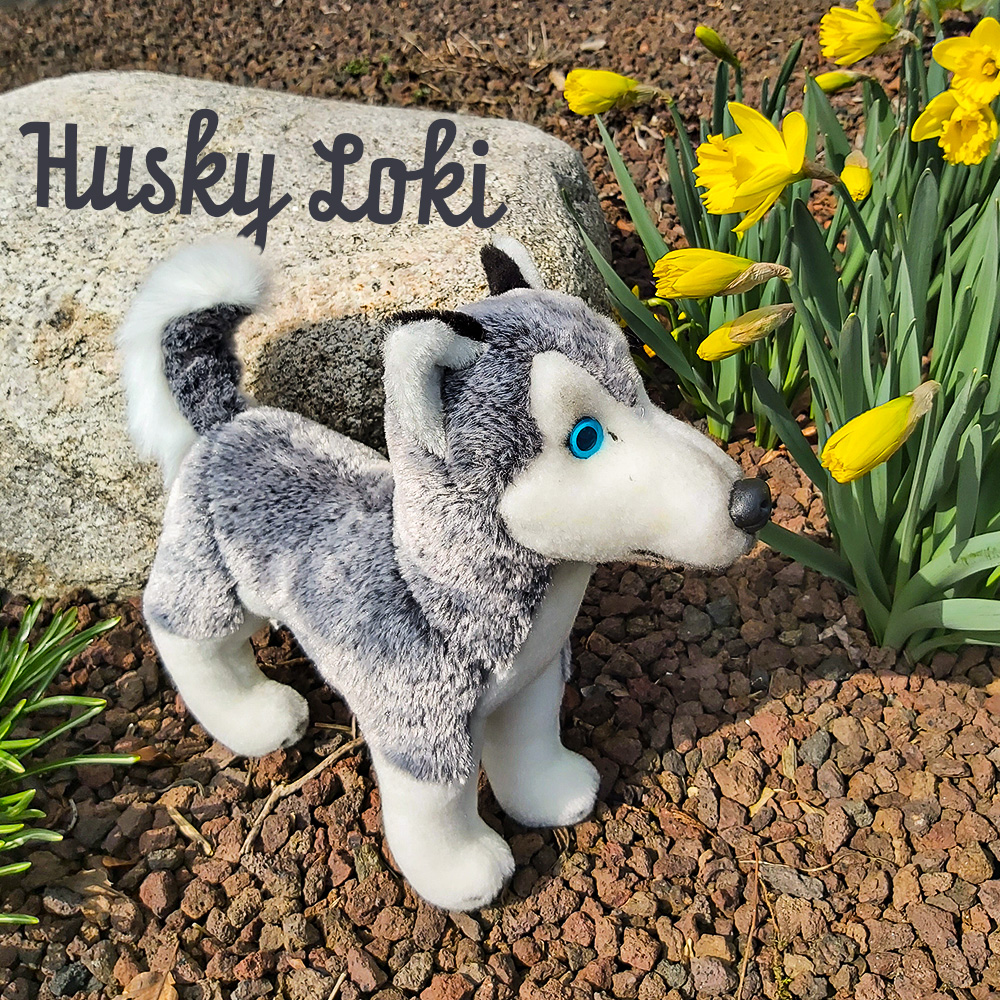 Husky Kuscheltier