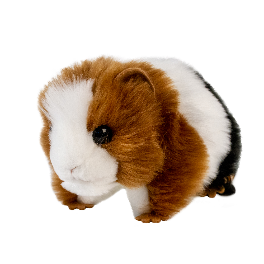 Kuscheltier Meerschweinchen