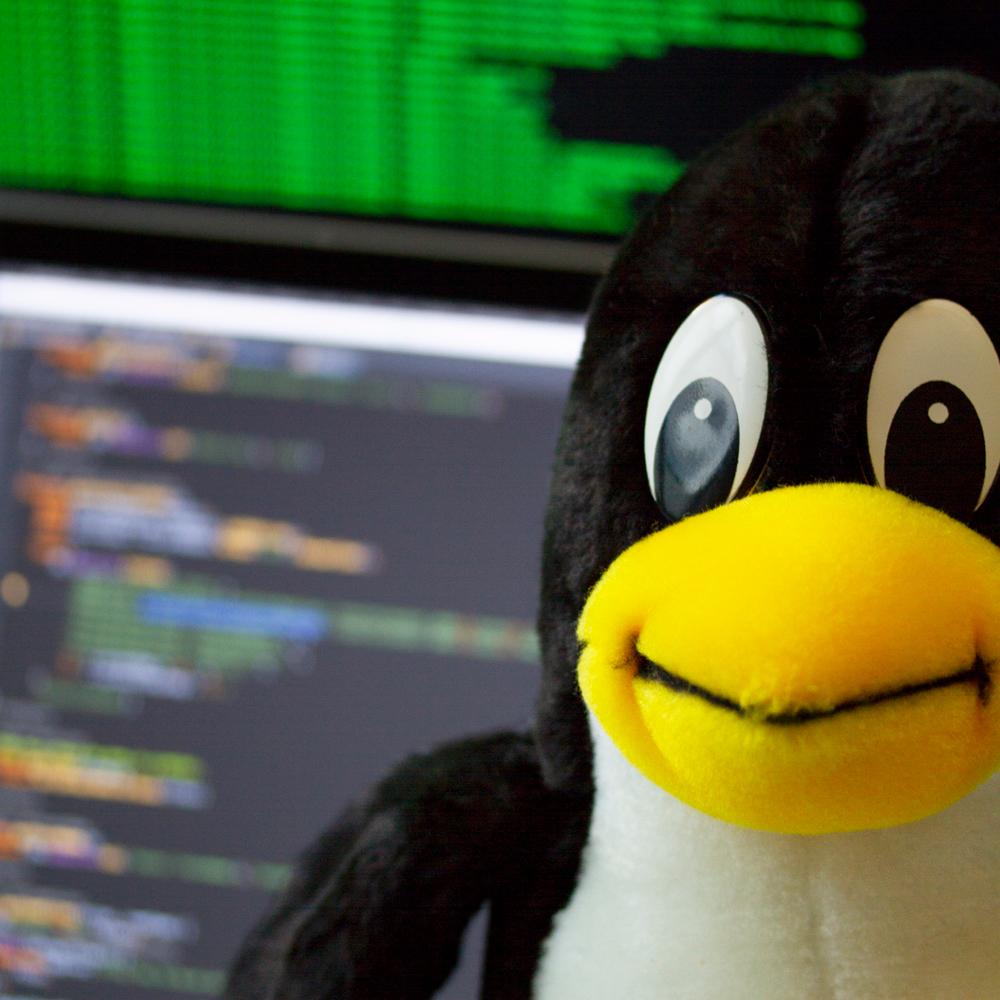 Pinguin 30 cm - Linux