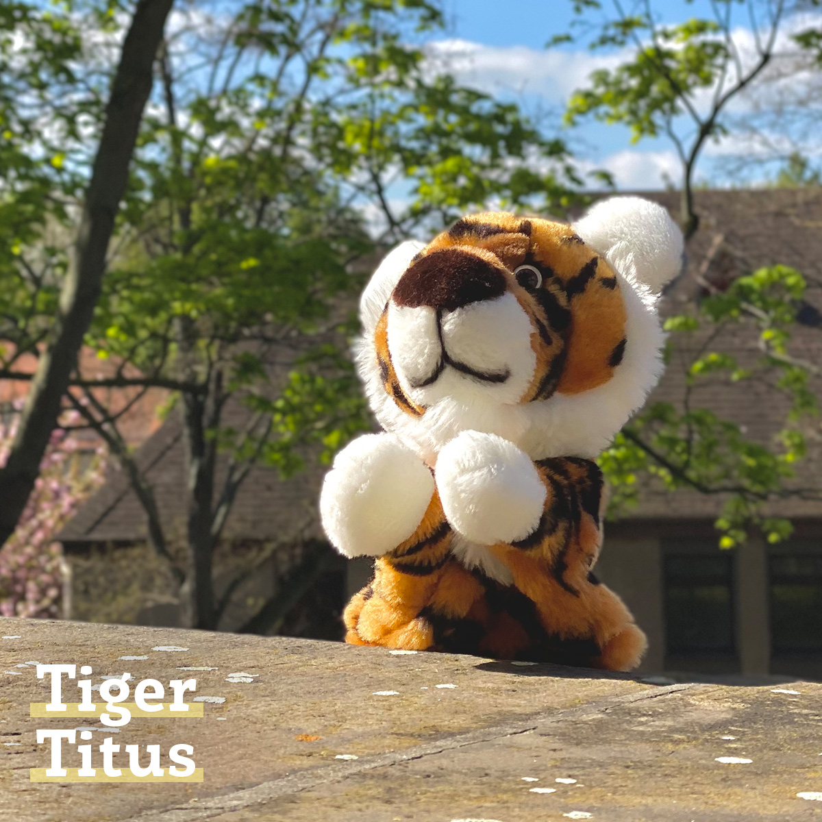 Handpuppe Tiger Titus