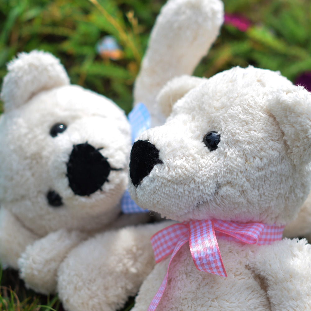 Teddybär Geschwister