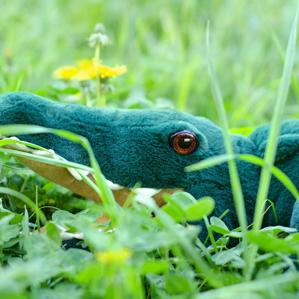 Plüsch Krokodil Groß