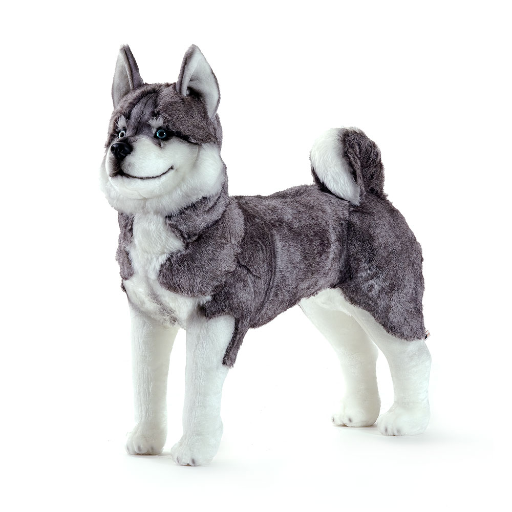  Riesen Kuscheltier Husky