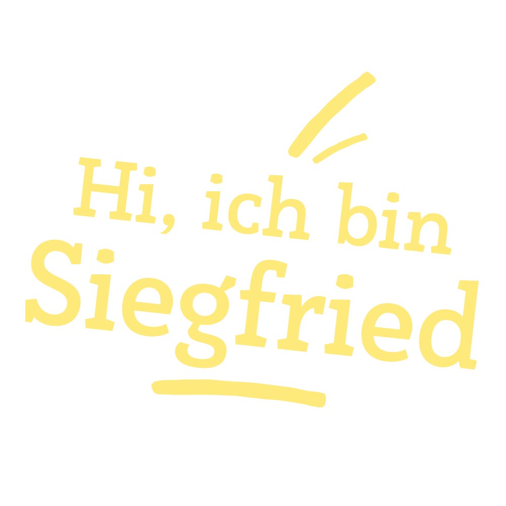 Teddybär/ Sammlerbär Siegfried
