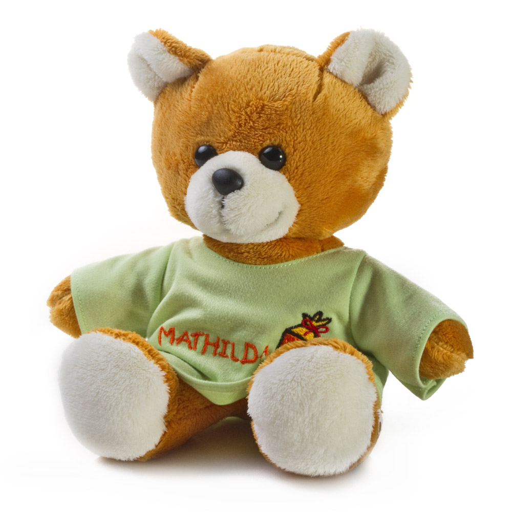 Kuscheltier Teddy
