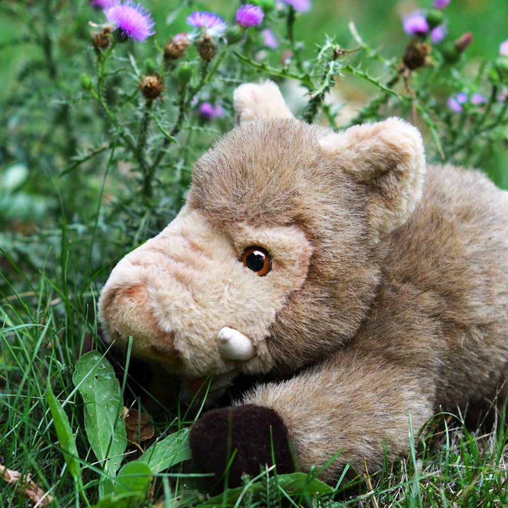 Kuscheltier Wildschwein