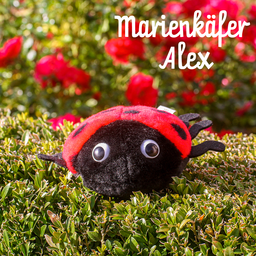 Kuscheltier Marienkäfer