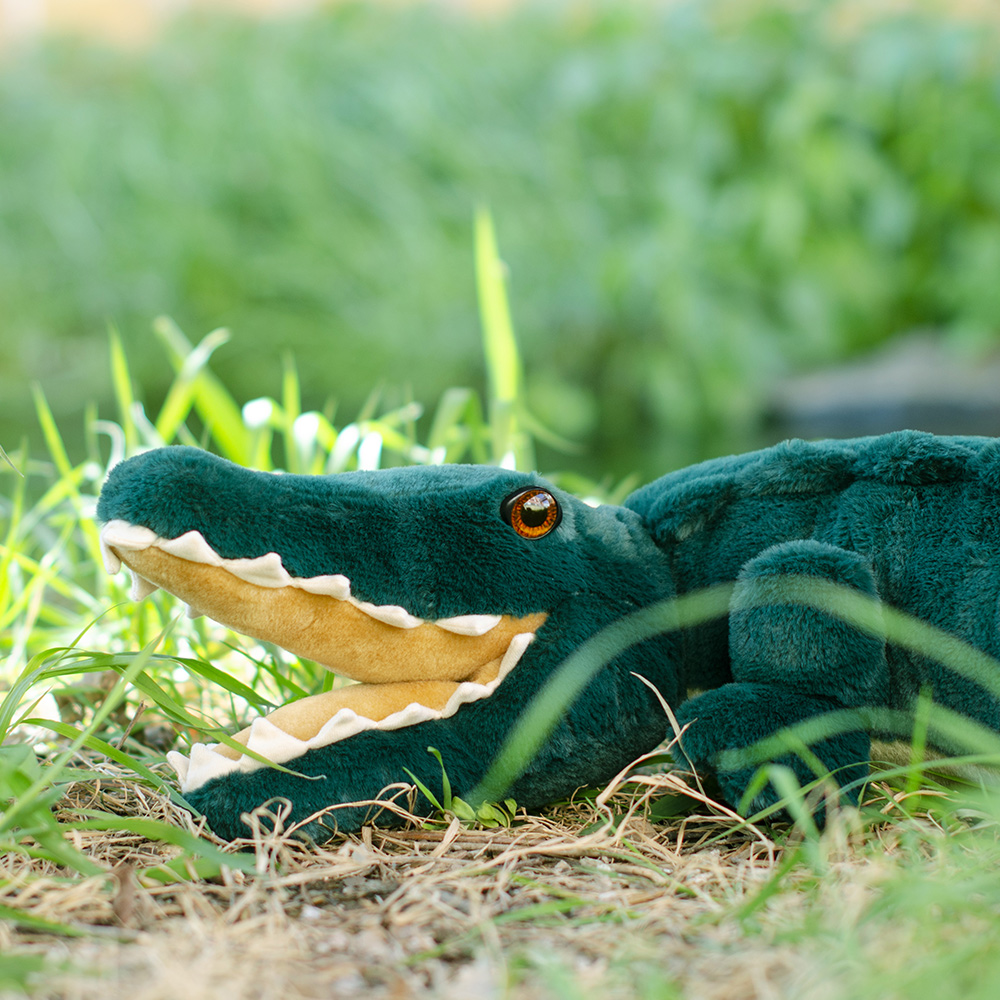 Krokodil Kuscheltier groß
