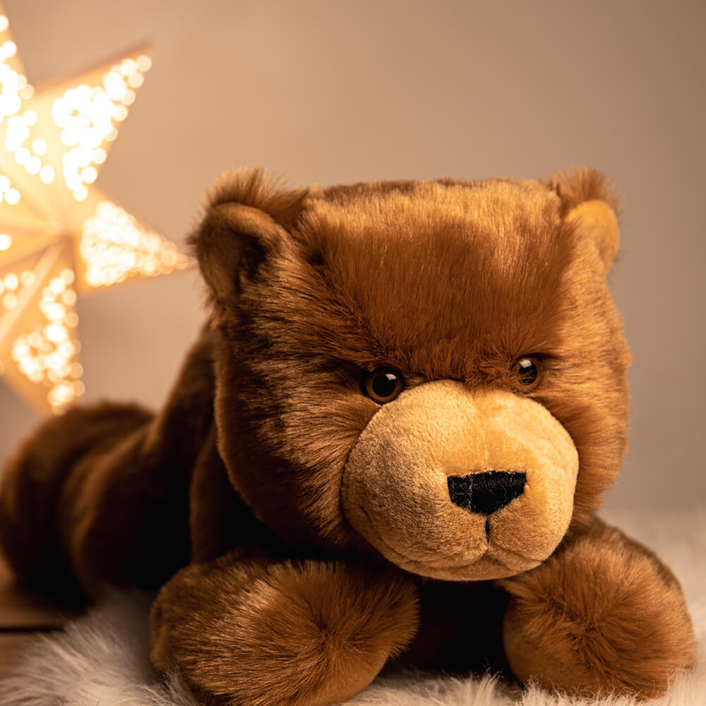 Braunbär liegend