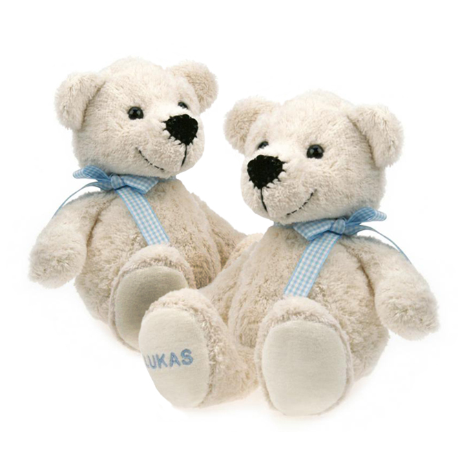  Teddybär Geschwistergeschenk