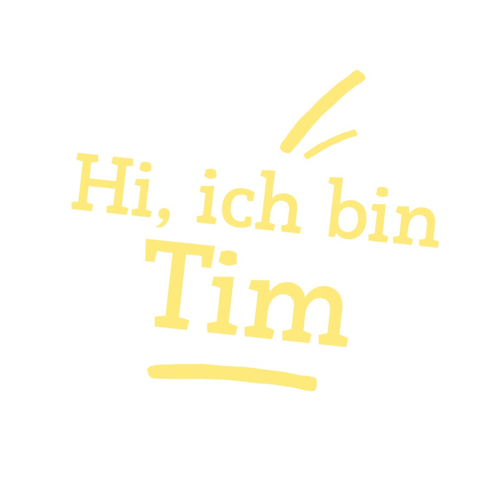 Riesen Kuscheltier Löwe Tim