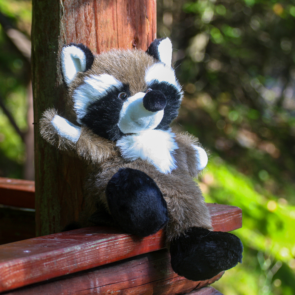 Waschbär Handpuppe