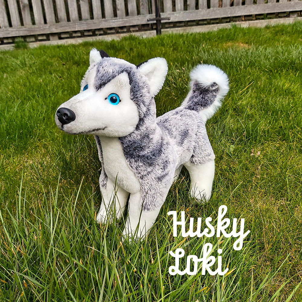 Plüschtier Husky 