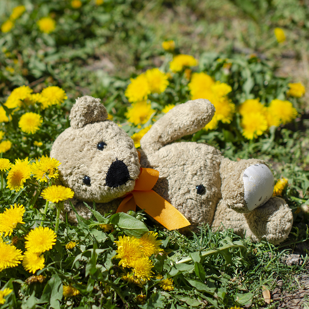 Stofftier Teddy