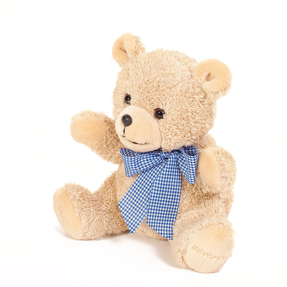 Kuscheltier Teddybär Wunschname