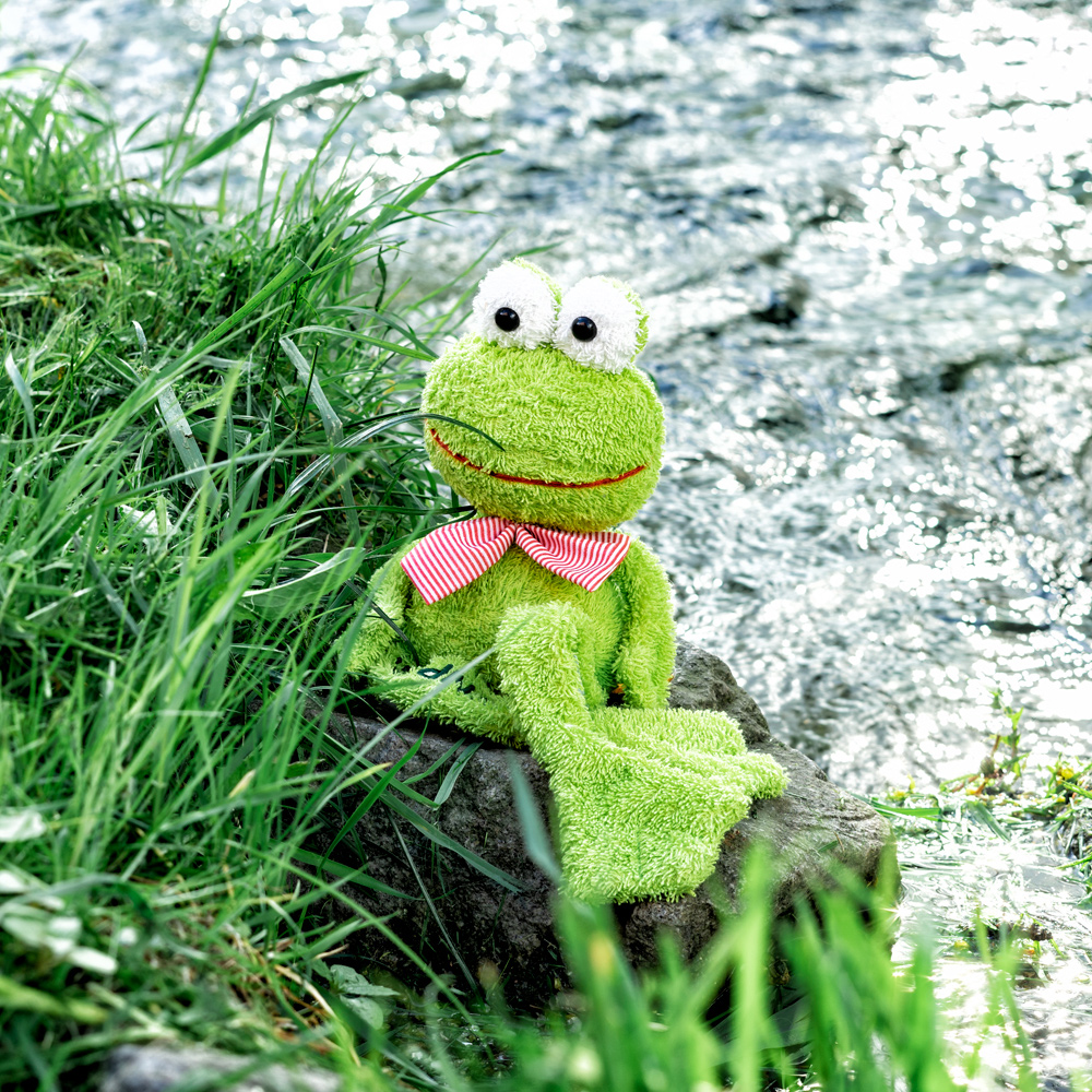 Frosch Kuscheltier am Wasser
