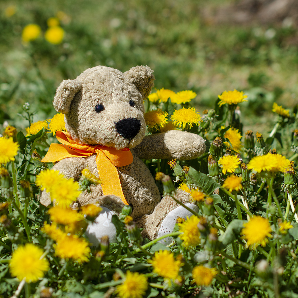 Bio Stofftier Teddy Bruno