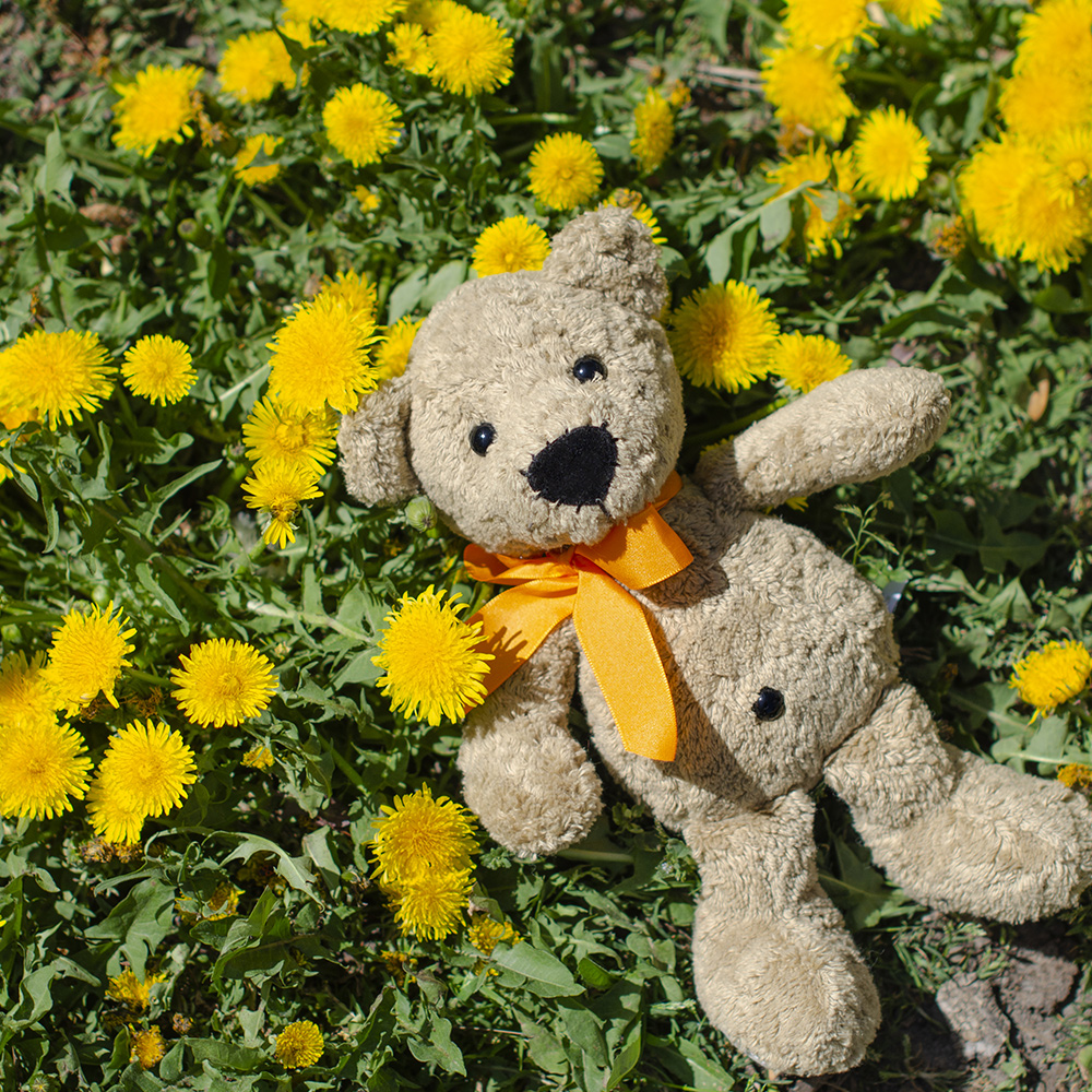 Teddy Kuscheltier