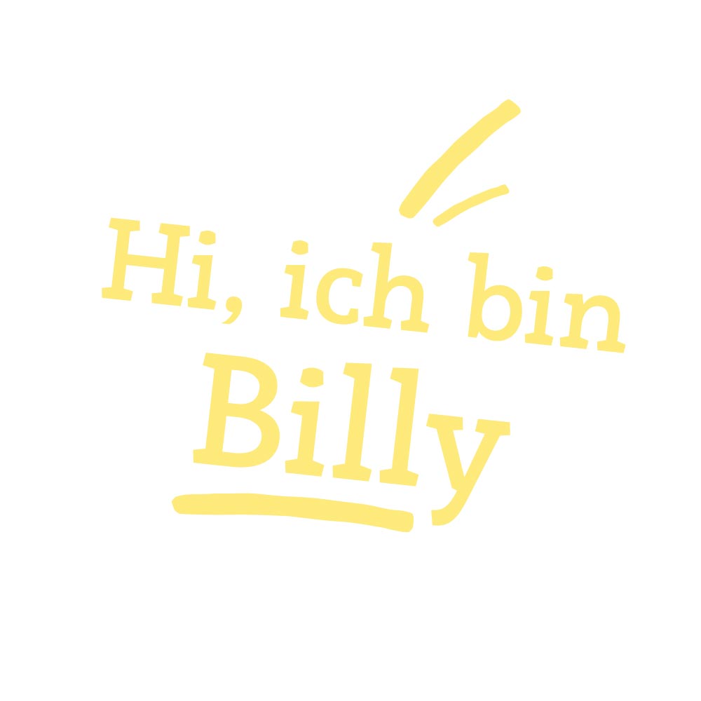 Teddybär/ Sammlerbär Billy