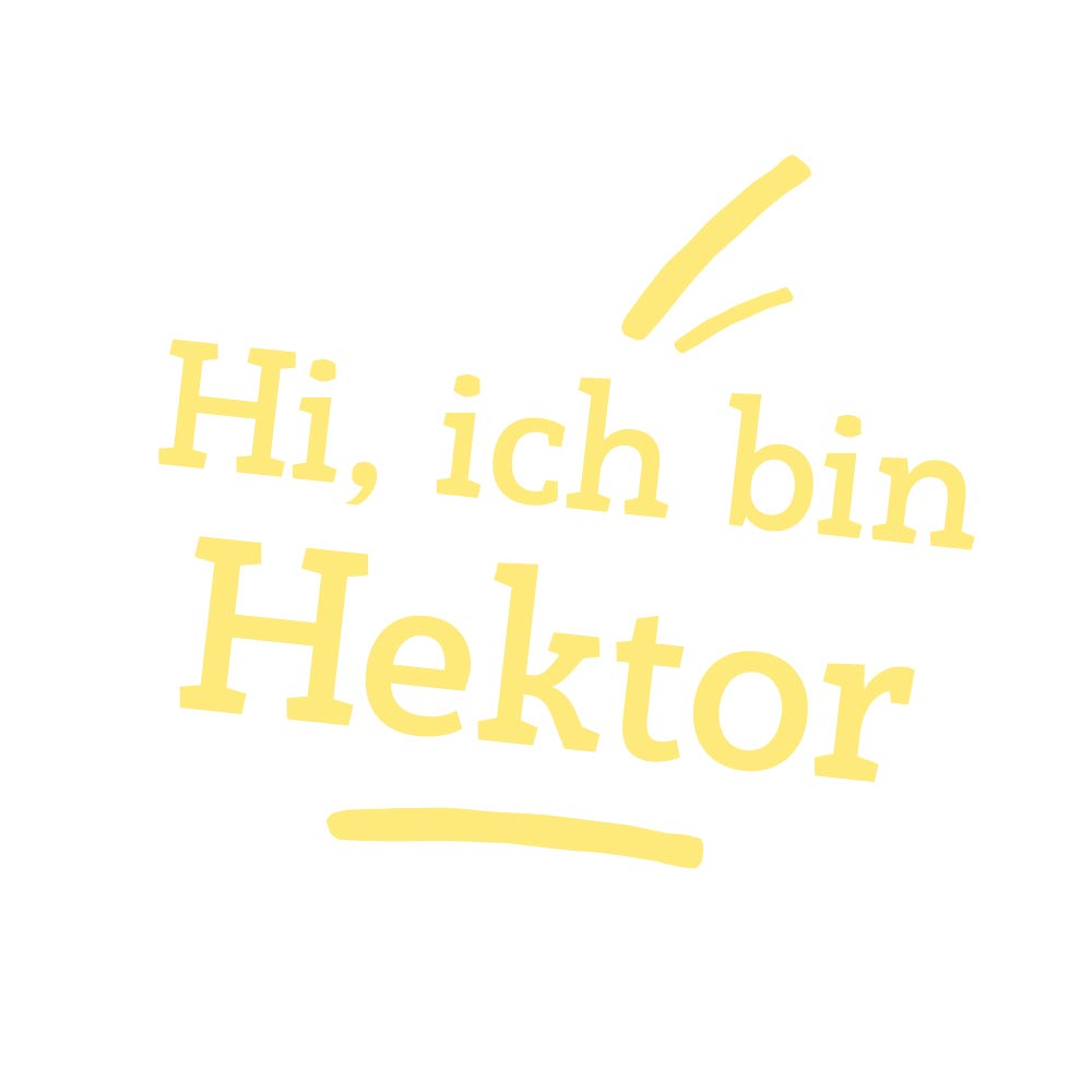 Teddybär/ Sammlerbär Hektor