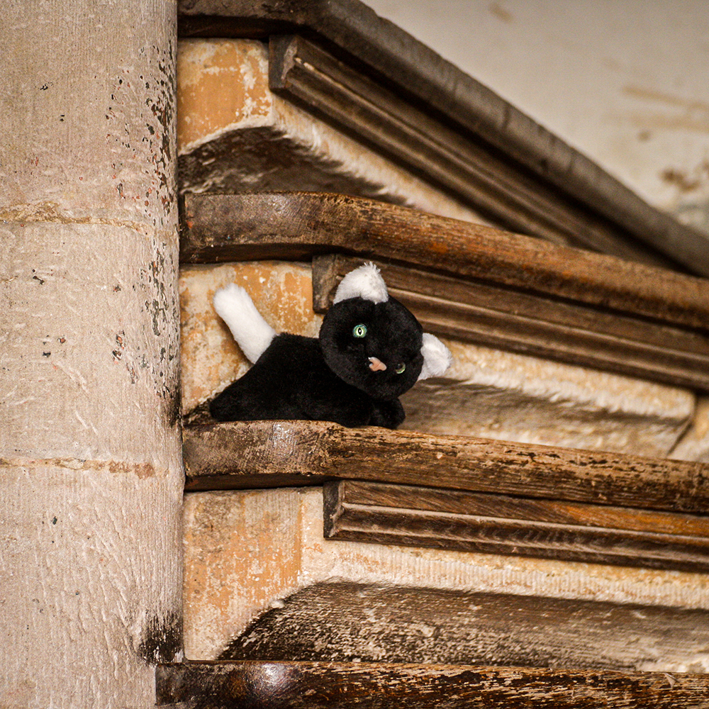 Katzenkind schwarz