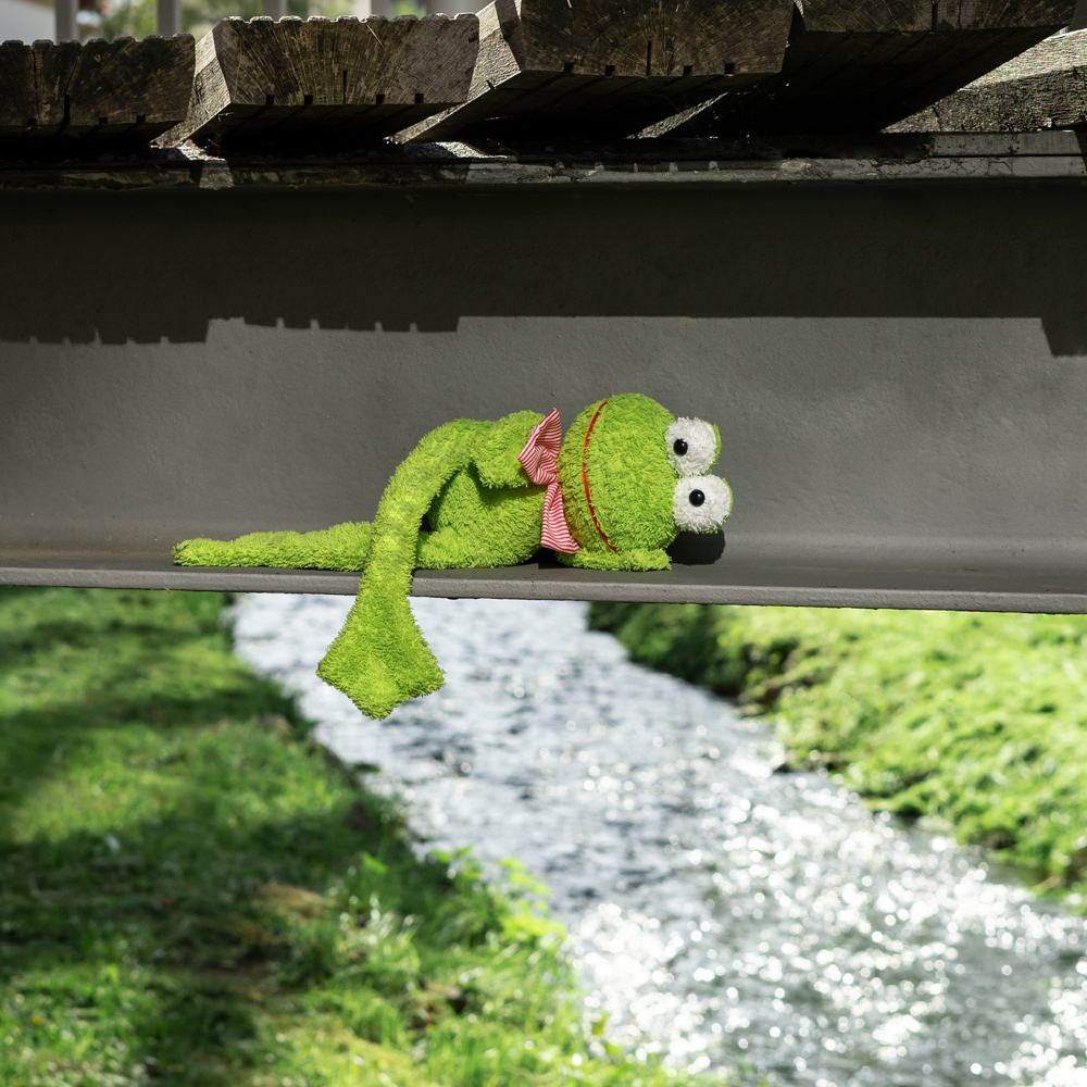 Kuscheltier Frosch am Fluss