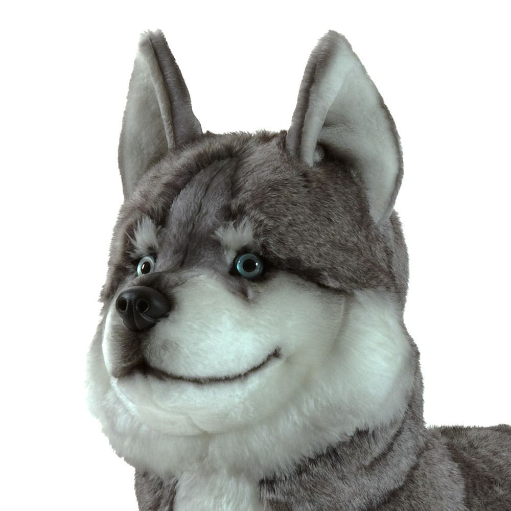 Husky Kuscheltier XXL