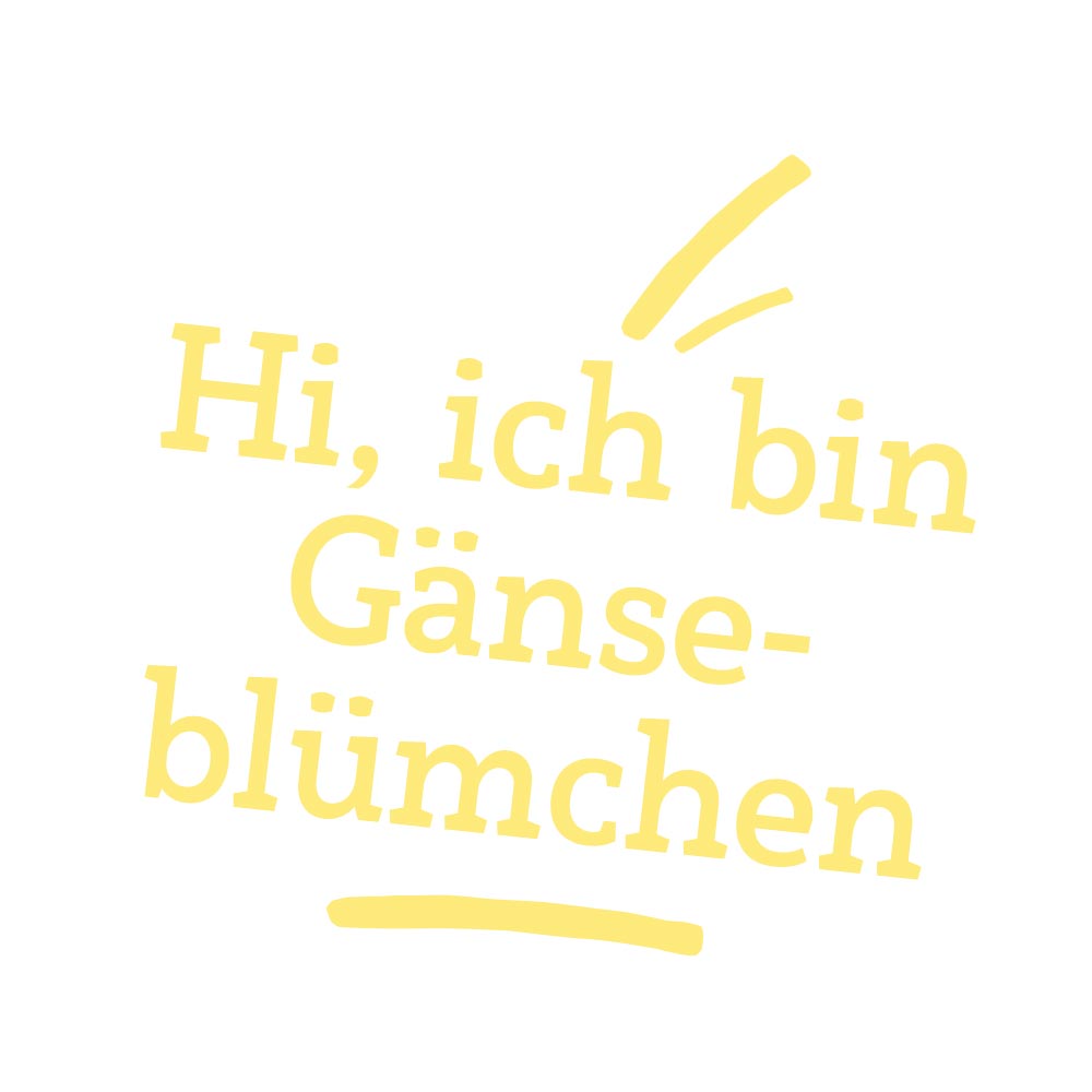 Plüschpferd Gänseblümchen