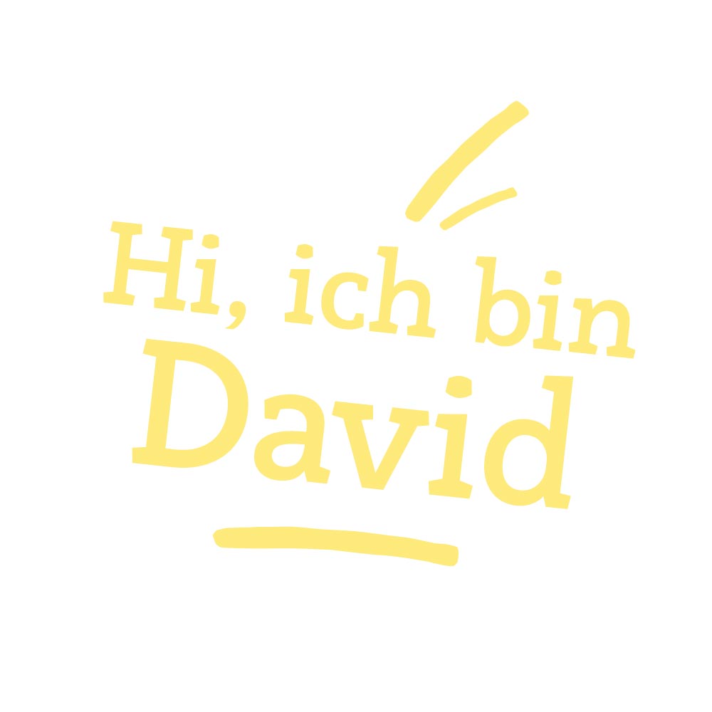 Riesen Kuscheltier Deutsche Dogge David
