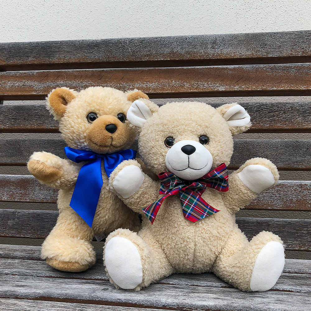 Teddy Plüschtier