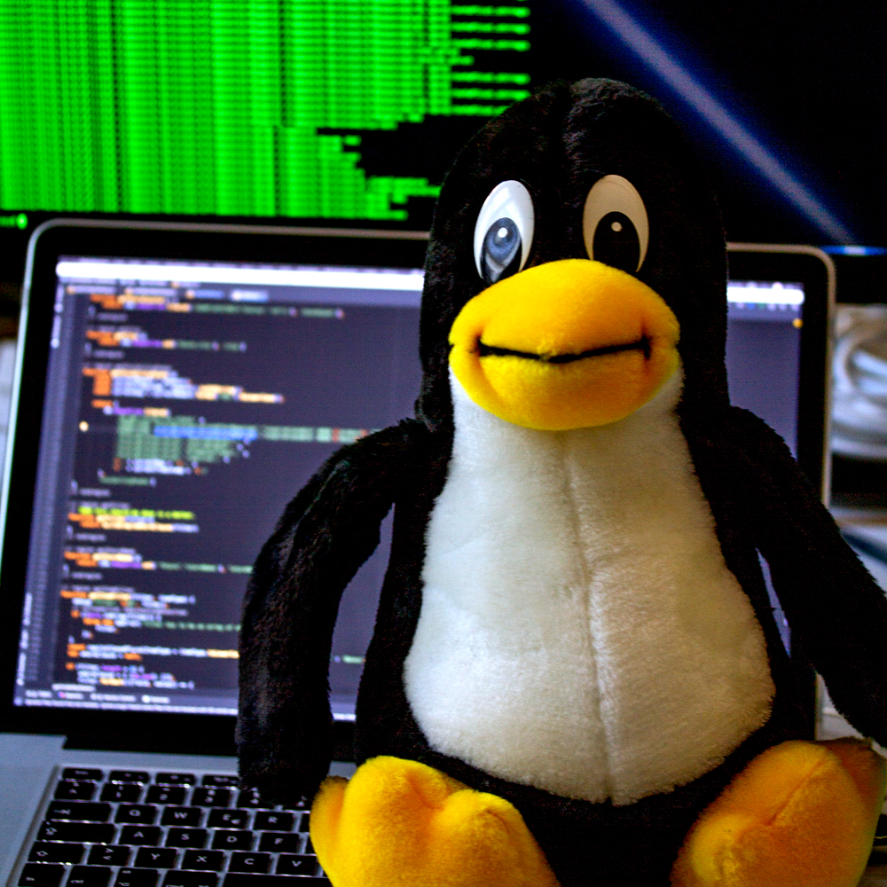Pinguin 30 cm - Linux
