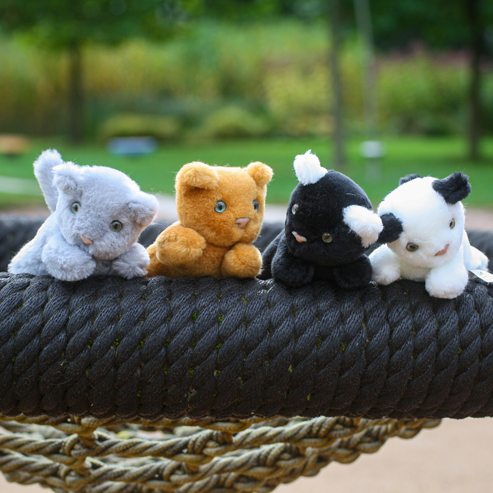 Katzenkind alle