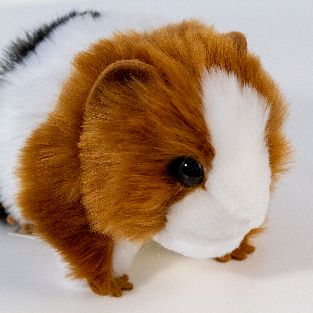 Meerschweinchen Kuscheltier