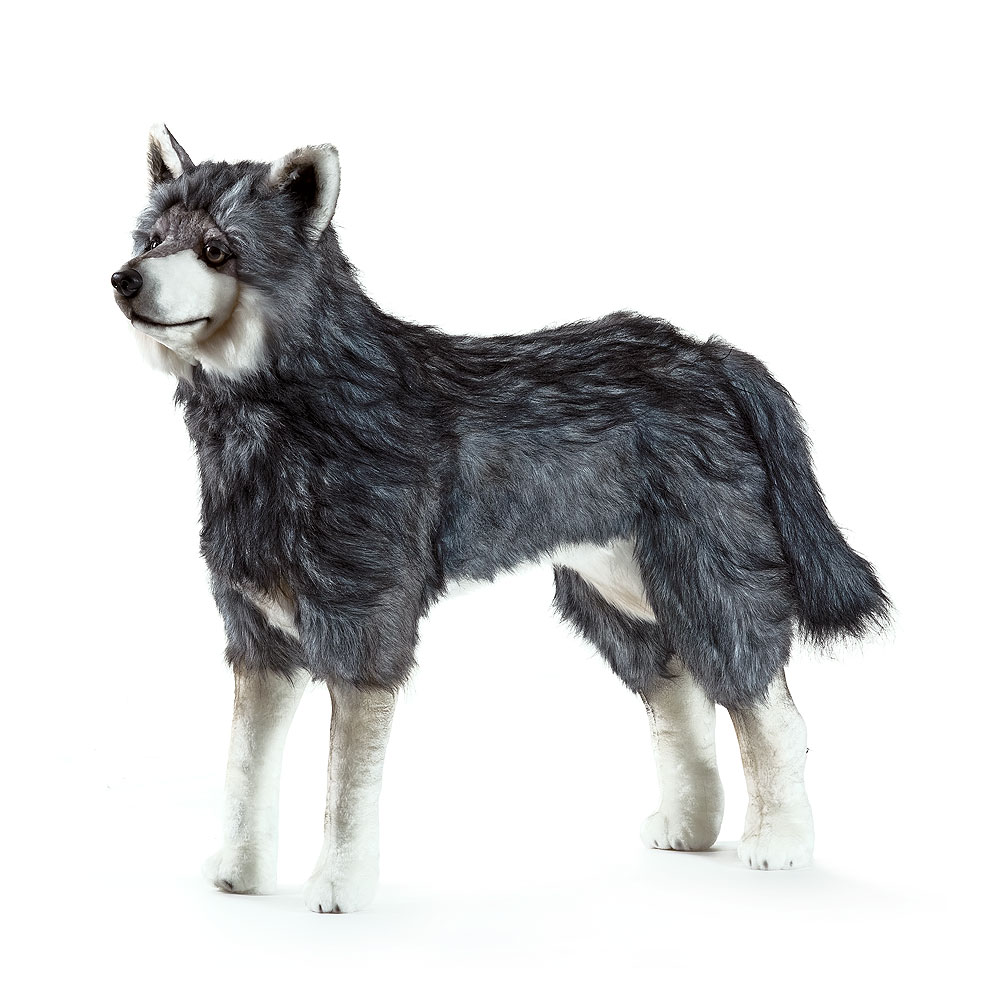 Wolf Kuscheltier XXL
