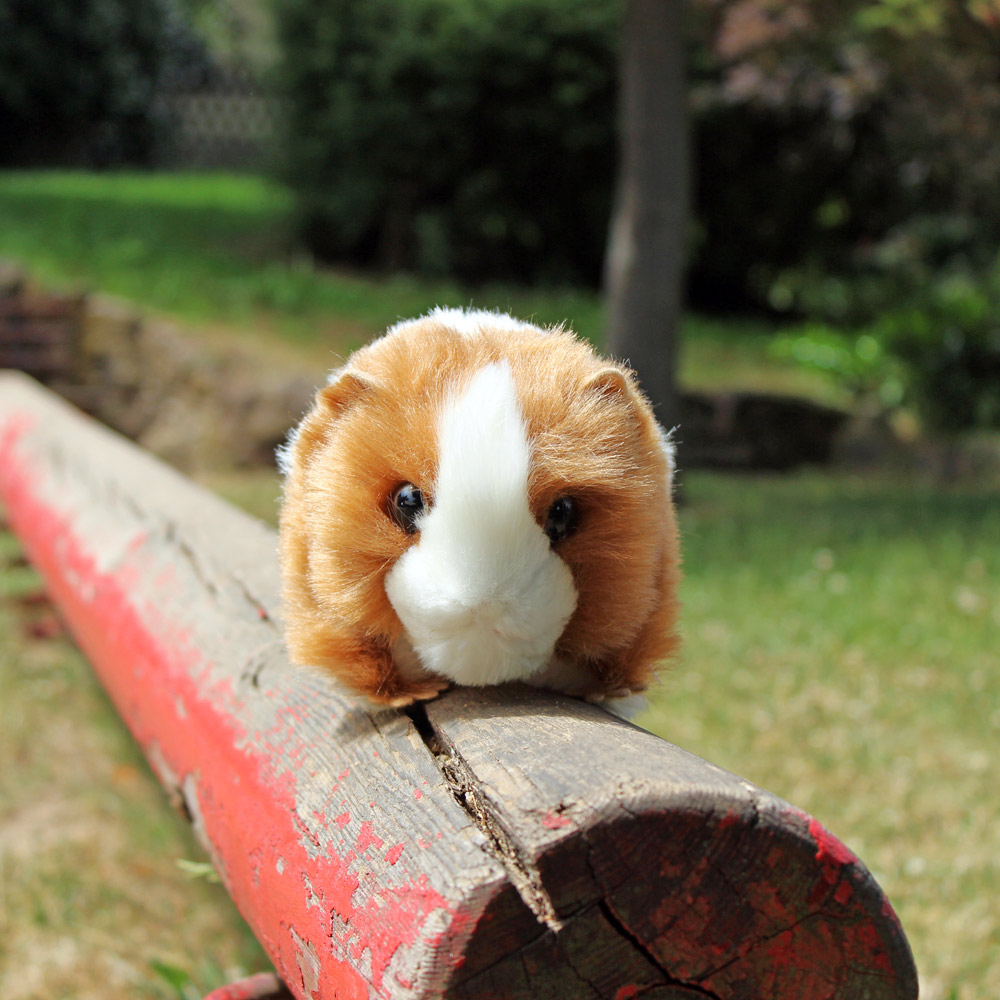 Meerschweinchen Plüschtier
