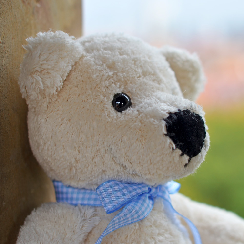 Teddy Bommel