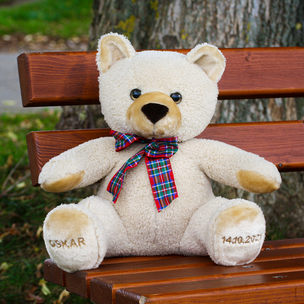 Teddy zur Geburt karierte Schleife