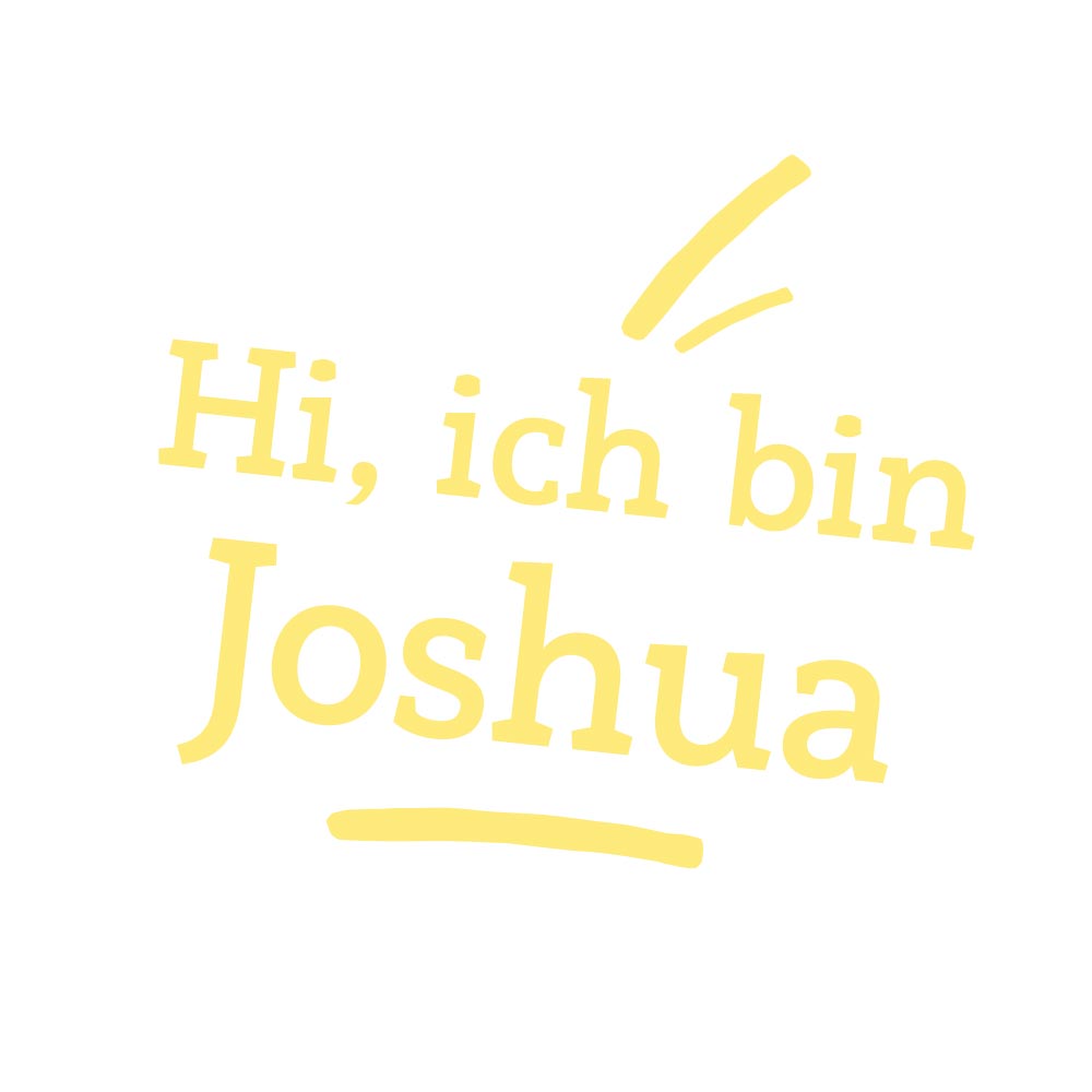 Teddybär/ Sammlerbär Joshua