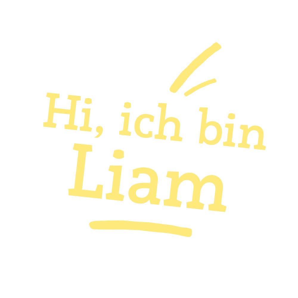 Teddybär/ Sammlerbär Liam