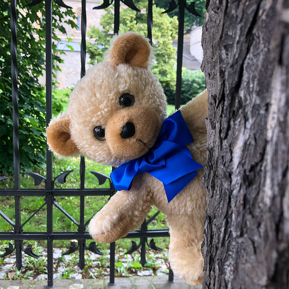 Teddy Kuscheltier