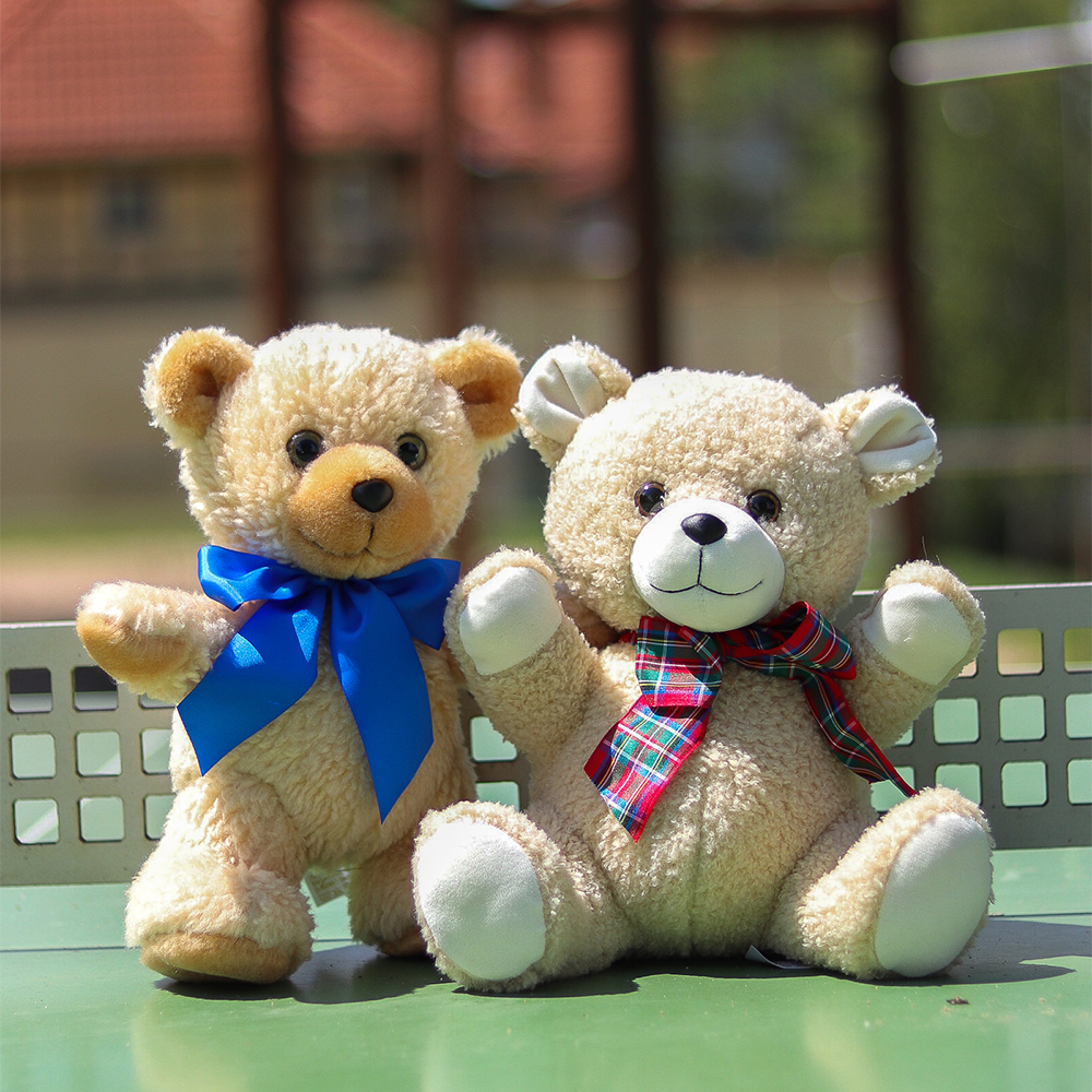 Plüschtier Teddybär Honey