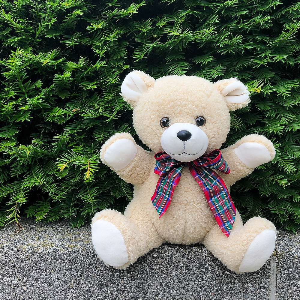 Teddybär Kuscheltier
