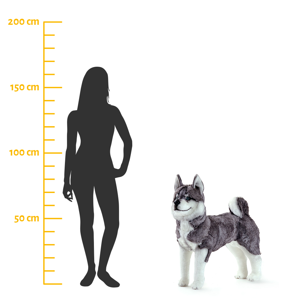 Riesen Husky