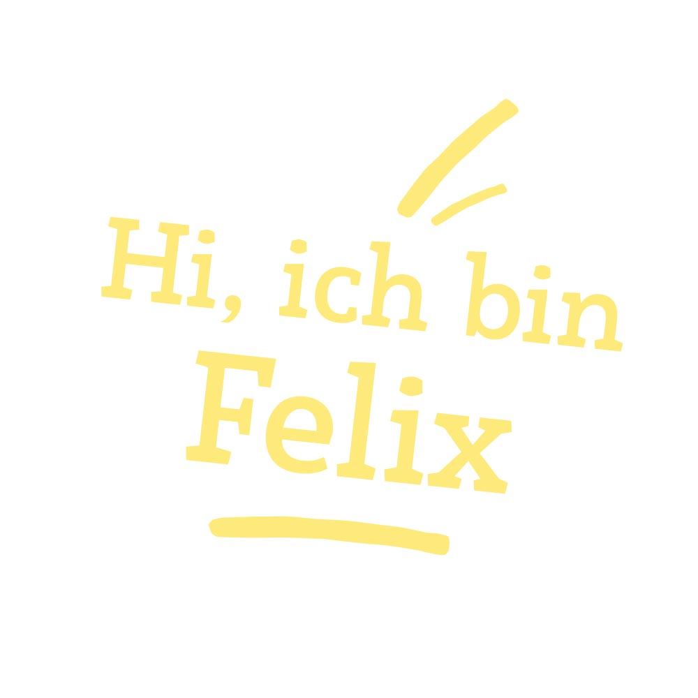 Teddybär/ Sammlerbär Felix