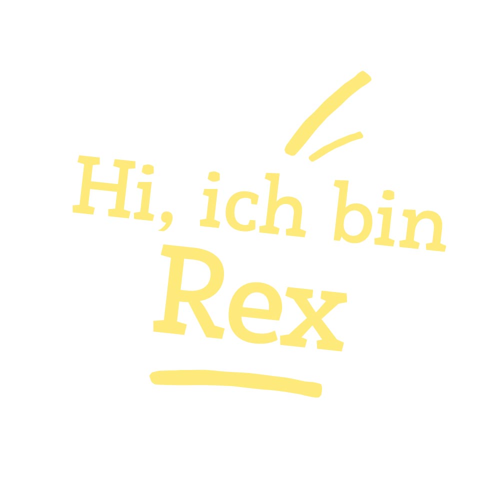 Plüschtier Rauhaardackel Rex
